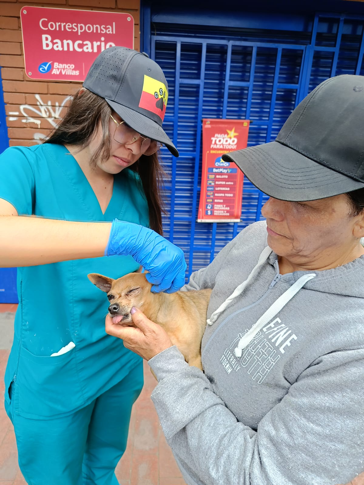 Angie Mendoza - Veterinario