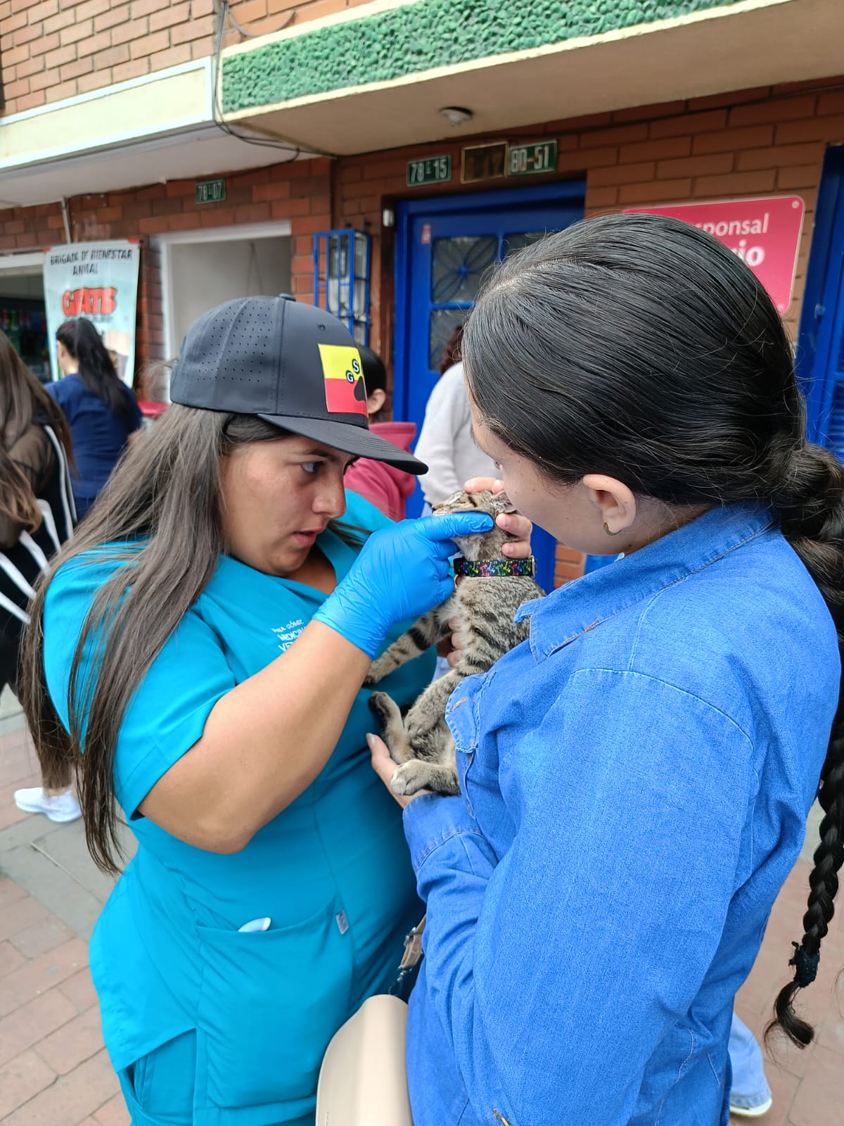 Laura Ruiz - Veterinario