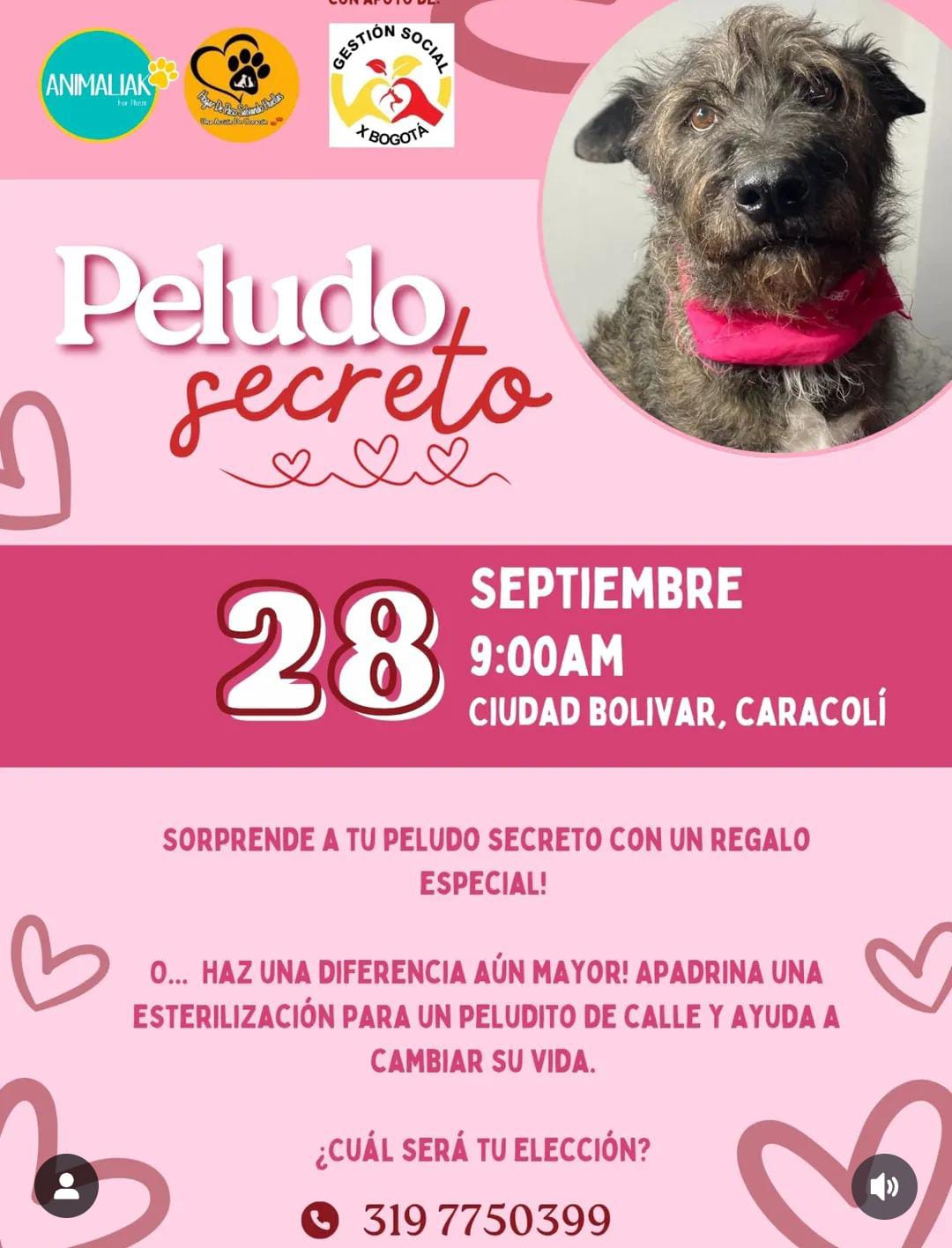 Jornada de Adopción Responsable en Parque Simón Bolívar