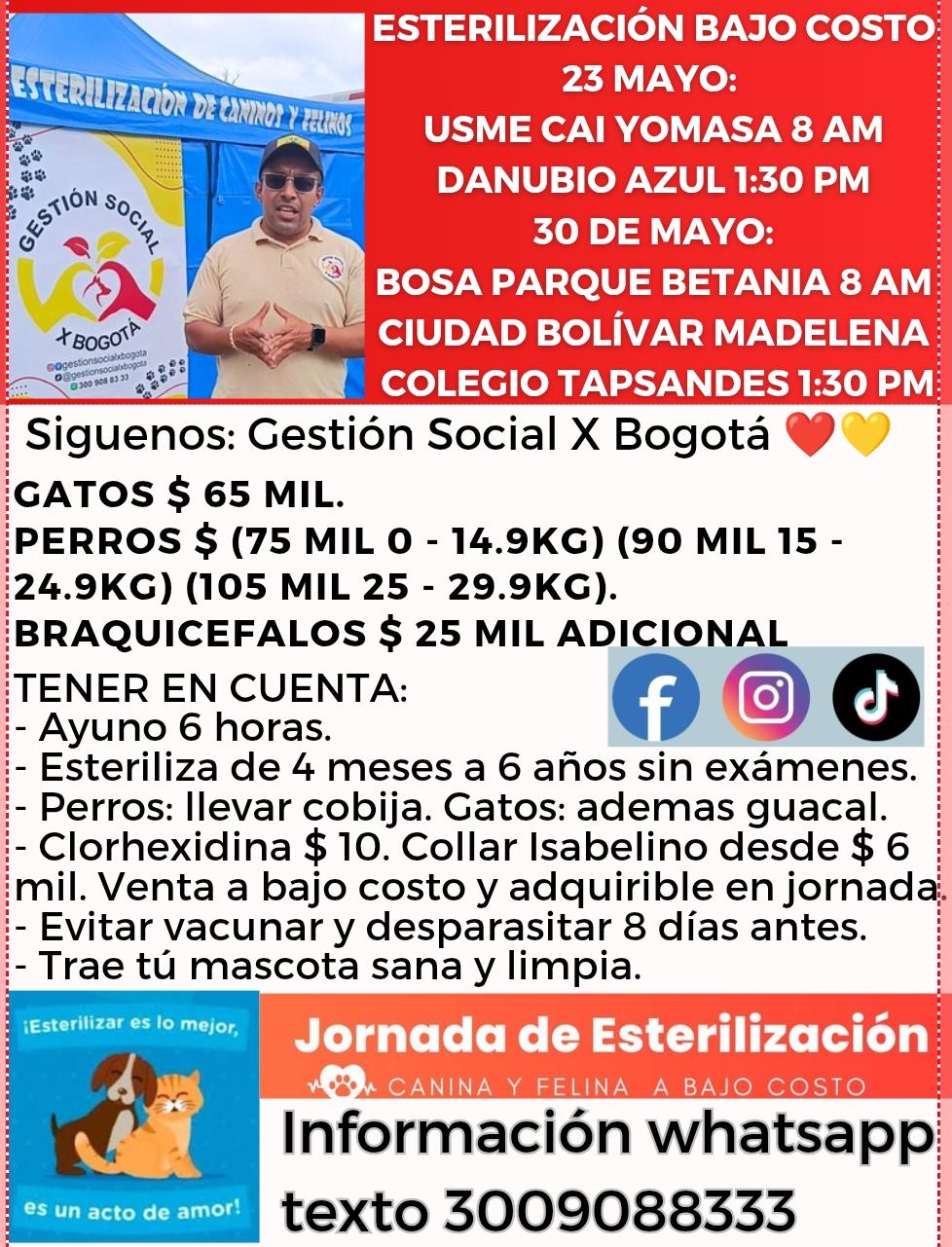 Charla escolar sobre tenencia responsable